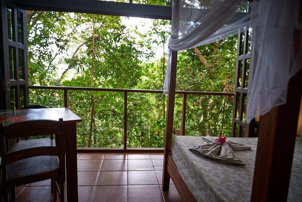 Luz En El Cielo Eco-B&B/Hostel Montezuma Exterior photo