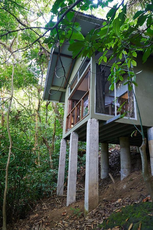 Luz En El Cielo Eco-B&B/Hostel Montezuma Exterior photo